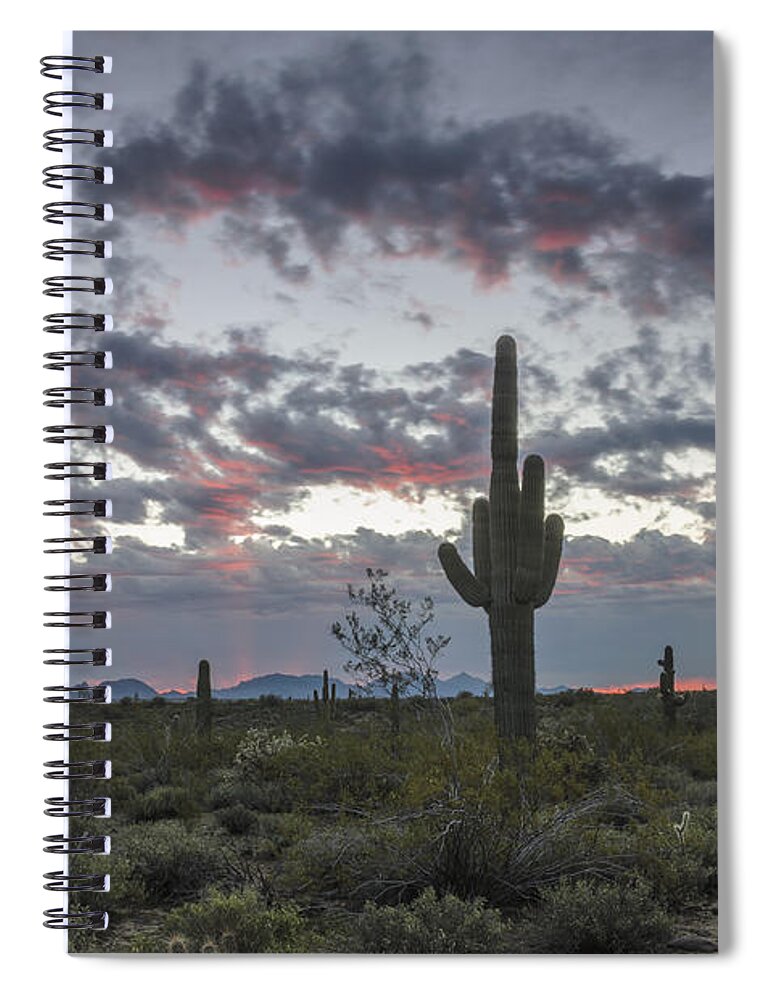 Saguaro Cactus Spiral Notebook featuring the photograph Sonoran Desert Sunrise by Tamara Becker