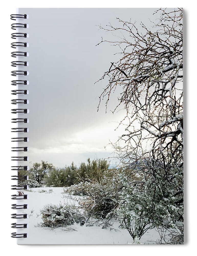 Desert Spiral Notebook featuring the photograph Sonoran Snow by Tamara Becker