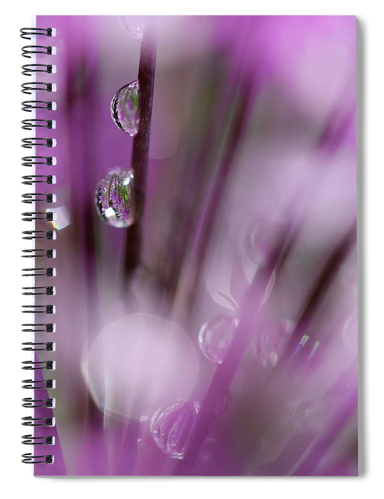 Nature Spiral Notebook featuring the photograph Soul in Rain by Tracy Male