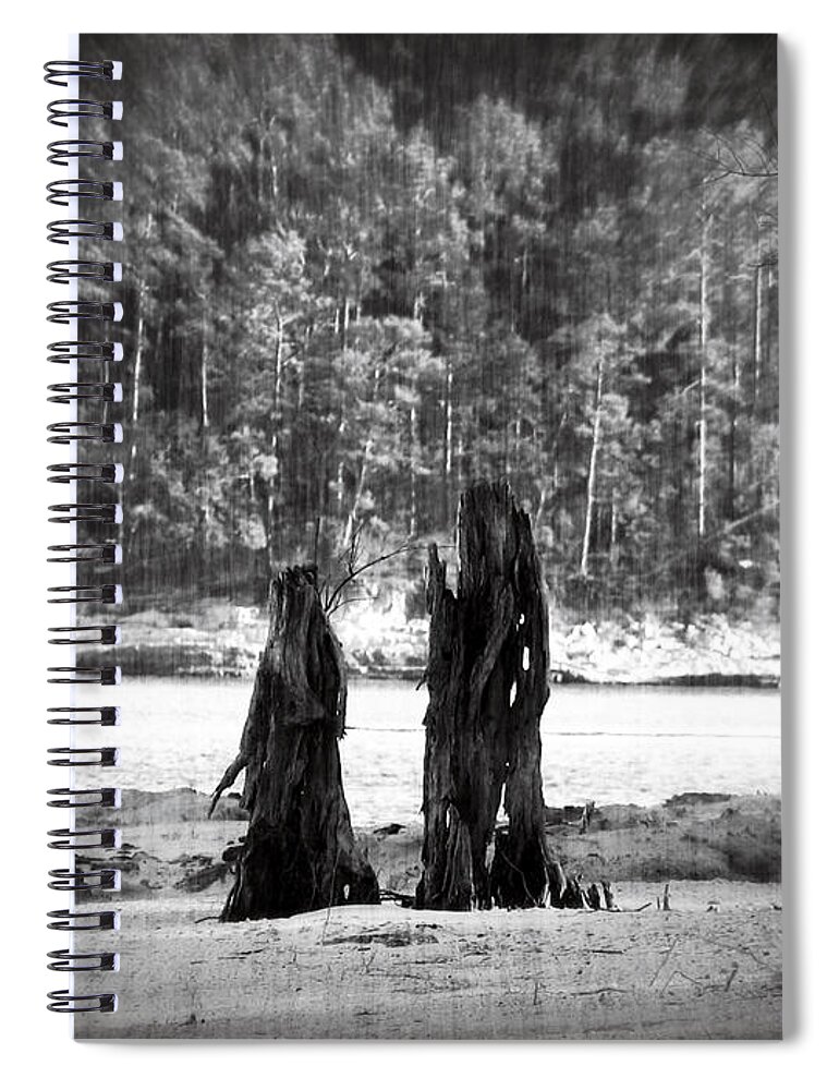 Stump Spiral Notebook featuring the photograph Soul Mates by Max Mullins