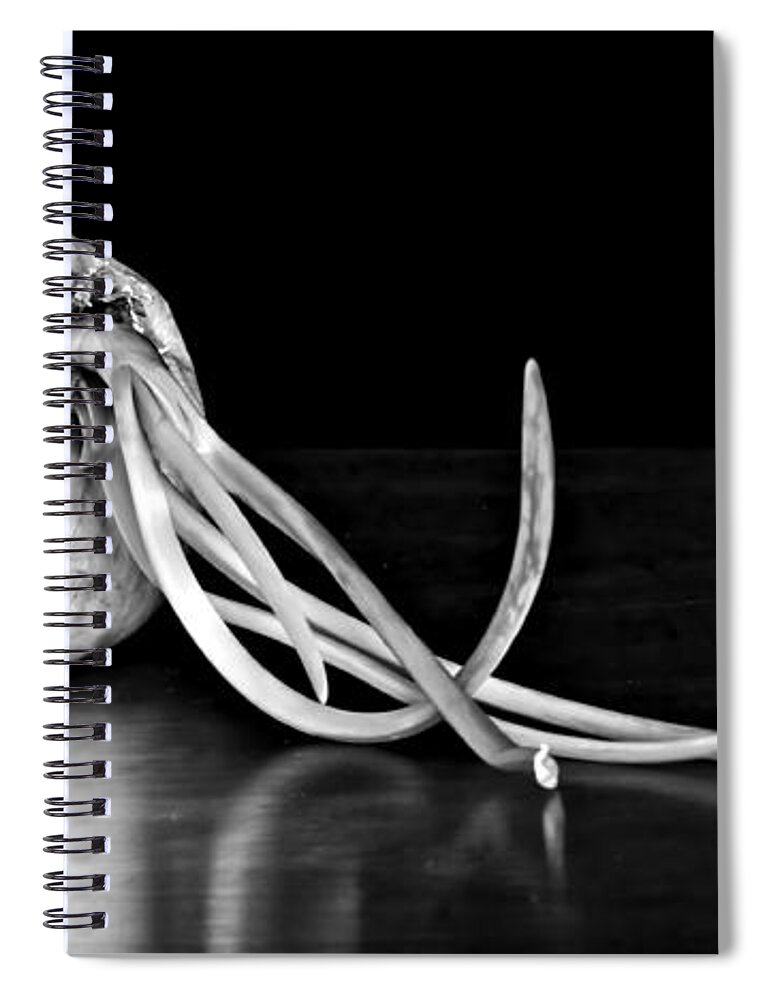 Onion Spiral Notebook featuring the photograph Soupe du Jour - bw by Nikolyn McDonald