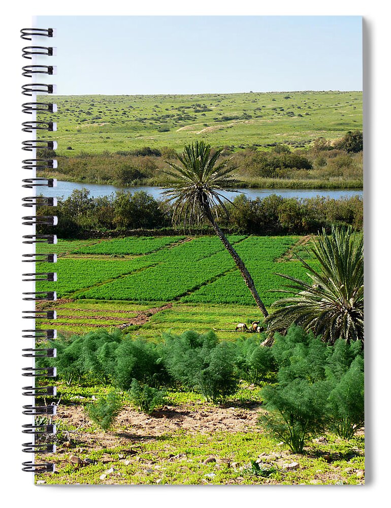 Morocco Spiral Notebook featuring the photograph Souss-Massa National Park by Tracy Winter