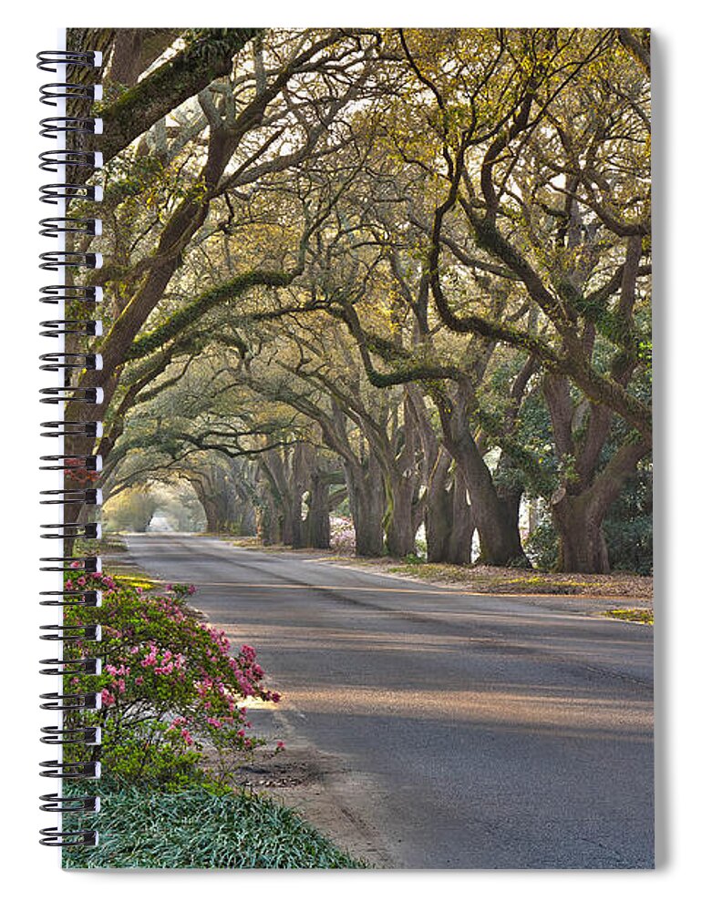 South Boundary Spiral Notebook featuring the photograph South Boundary in Spring by Shirley Radabaugh