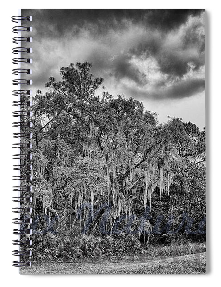 Electric Thunderstorms Spiral Notebook featuring the photograph Spanish Moss and Clouds study by Silvio Ligutti