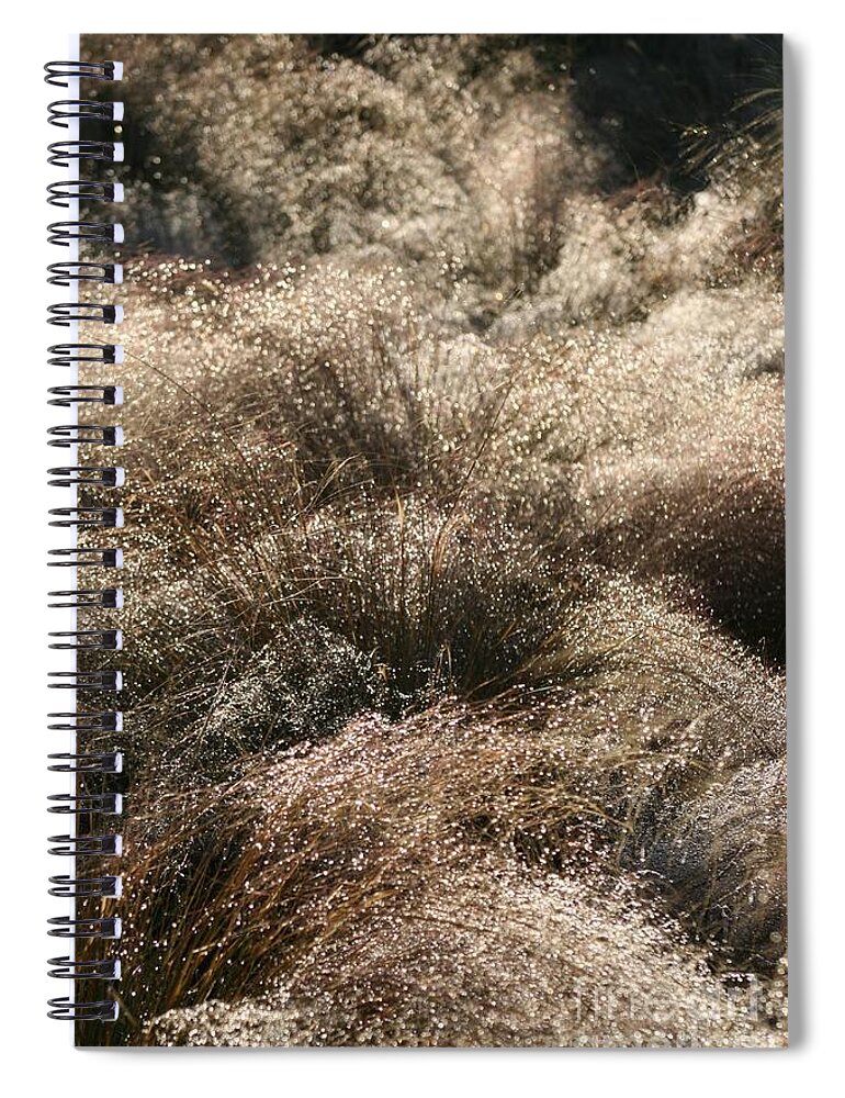 Grasses Spiral Notebook featuring the photograph Sparkling Grasses by Nadine Rippelmeyer