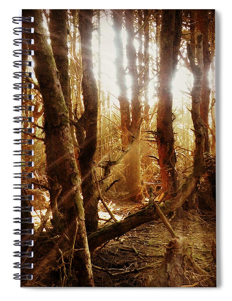 Spellbound Spiral Notebook featuring the photograph Spellbound by Micki Findlay