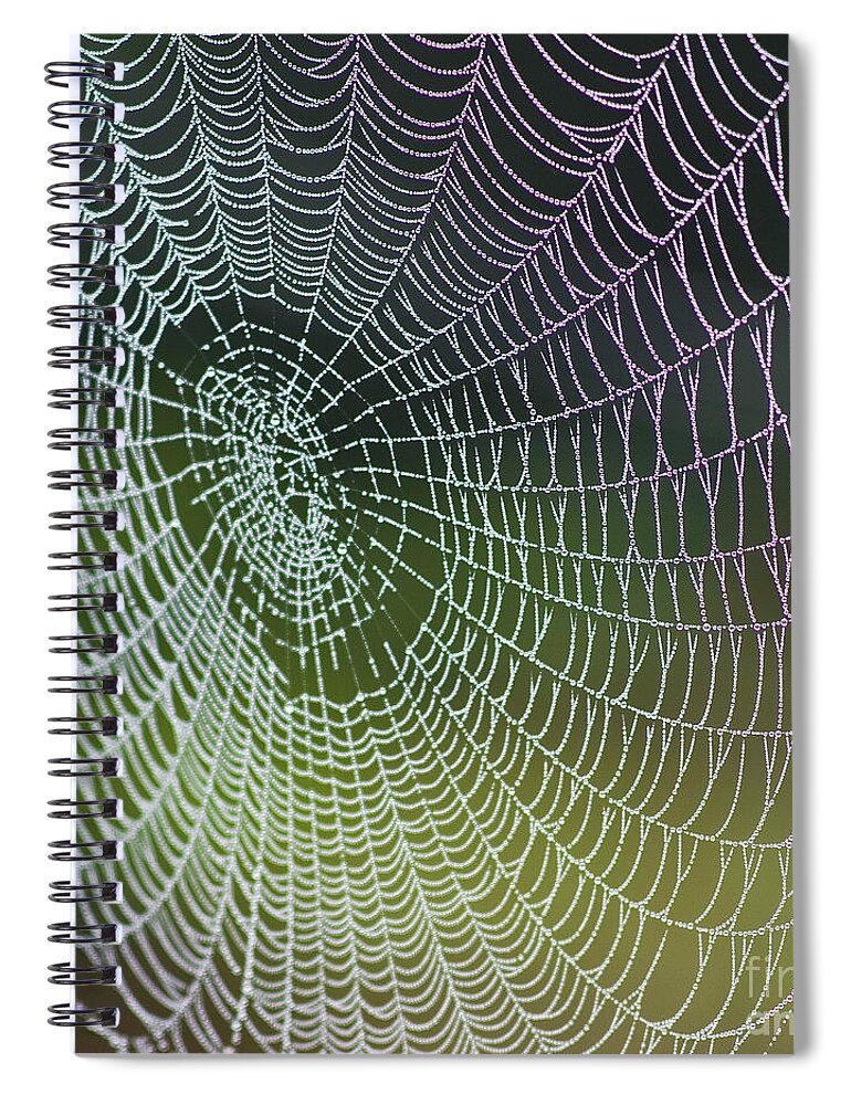 Spiderweb Spiral Notebook featuring the photograph Spider Web by Heiko Koehrer-Wagner