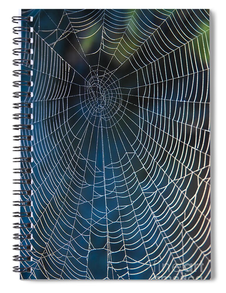Spiderweb Spiral Notebook featuring the photograph Spider's Net by Heiko Koehrer-Wagner