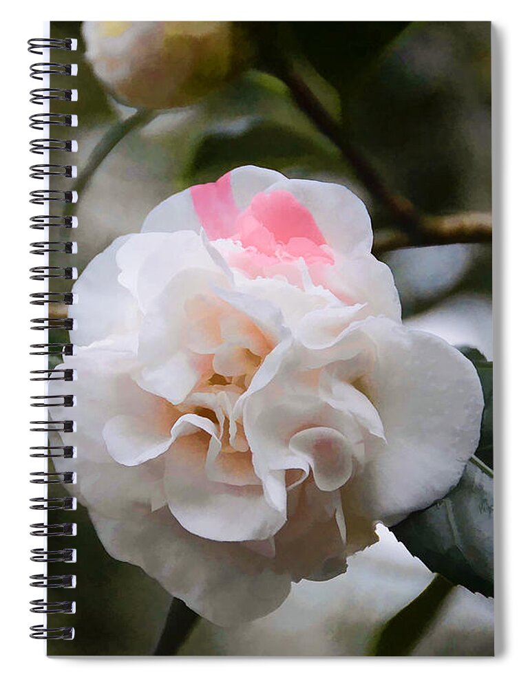 Beautiful Spiral Notebook featuring the photograph Splash of Pink by Penny Lisowski