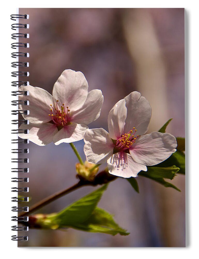 Capitol Spiral Notebook featuring the photograph Spotlight by Kathi Isserman
