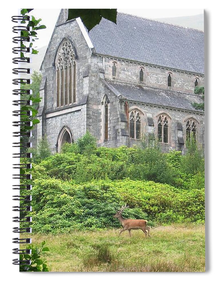 Scottish Highlands Spiral Notebook featuring the photograph Spotted by Denise Railey