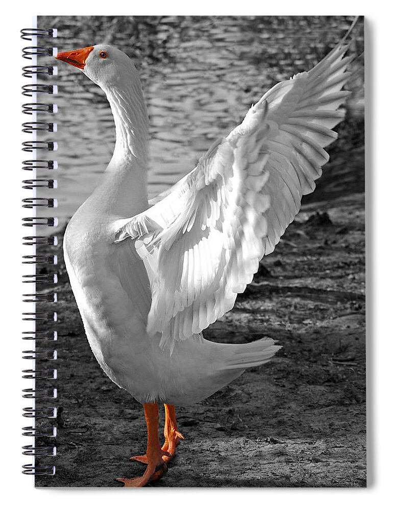 Landscape Spiral Notebook featuring the photograph Spread Your Wings B and W by Lisa Phillips