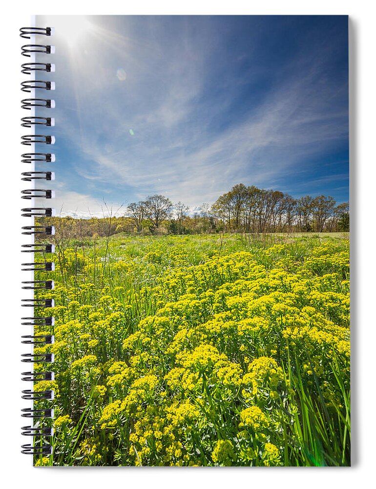 Wildflowers Spiral Notebook featuring the photograph Spring Bloom by Bryan Bzdula