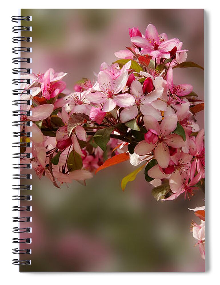 April Spiral Notebook featuring the photograph Cheery Cherry Blossoms by Penny Lisowski