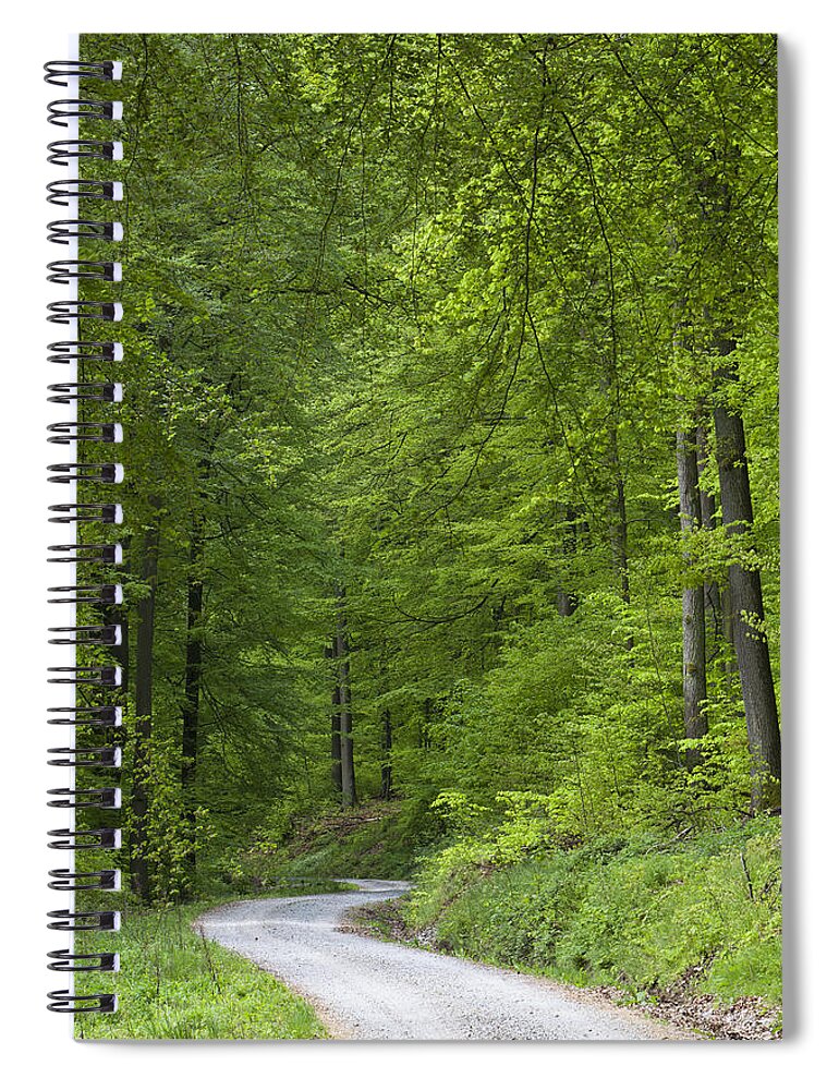 Feb0514 Spiral Notebook featuring the photograph Spring European Beech Forest Lower by Duncan Usher