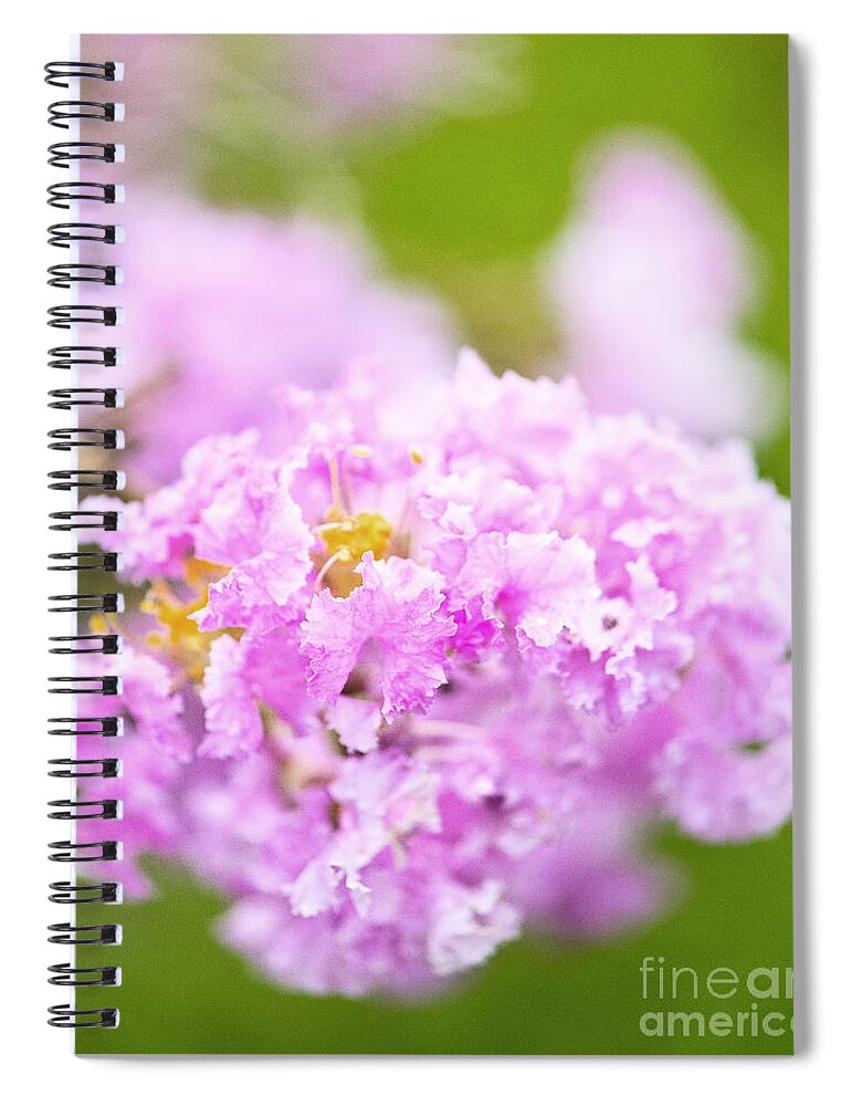 Photography Spiral Notebook featuring the photograph Spring flowers by Ivy Ho