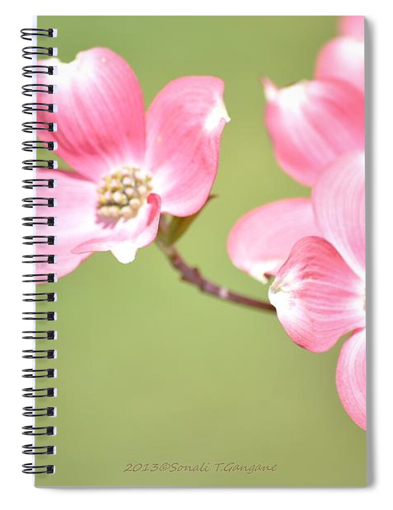 Dogwood Flower Spiral Notebook featuring the photograph Spring Harbinger by Sonali Gangane