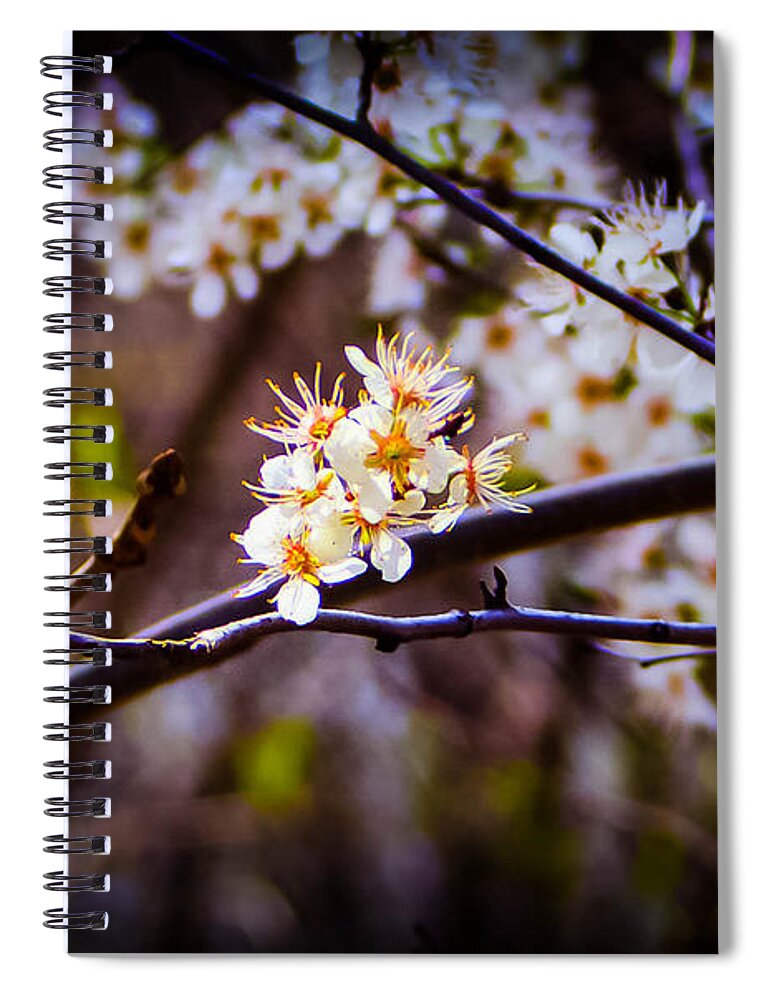 Spring Buds Spiral Notebook featuring the photograph Spring Returns 2 by Al Griffin
