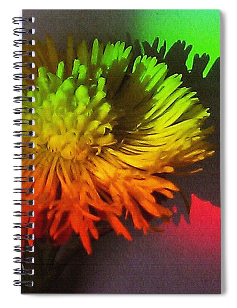 Spring Through A Rainbow Spiral Notebook featuring the photograph Spring Through A Rainbow by Martin Howard