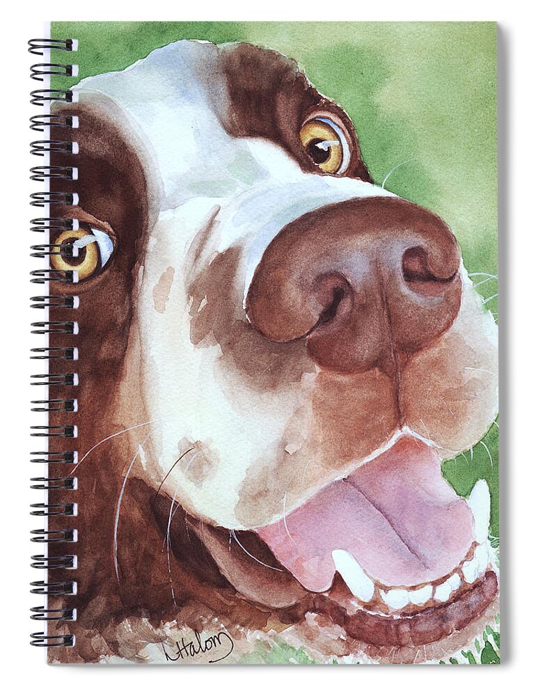 Springer Spaniel Painting Spiral Notebook featuring the painting Springer by Greg and Linda Halom
