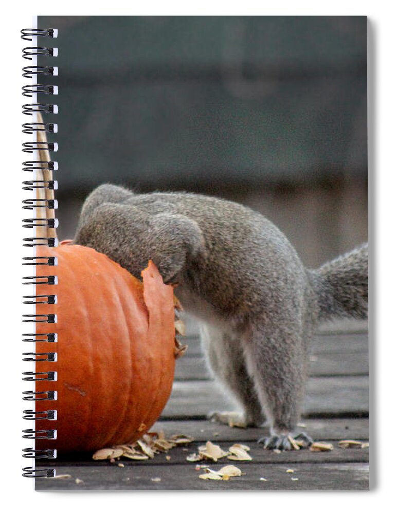 Squirrel Spiral Notebook featuring the photograph Squirrel Dining In by Adam Long
