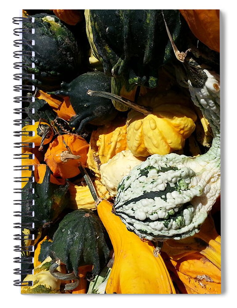 Harvest Spiral Notebook featuring the photograph Squish Squash by Caryl J Bohn