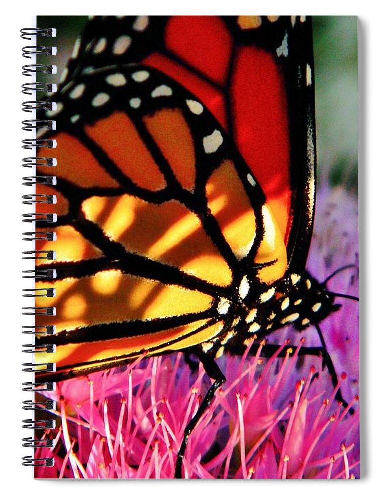 Monarch Spiral Notebook featuring the photograph Stained Glass Monarch by Chris Berry