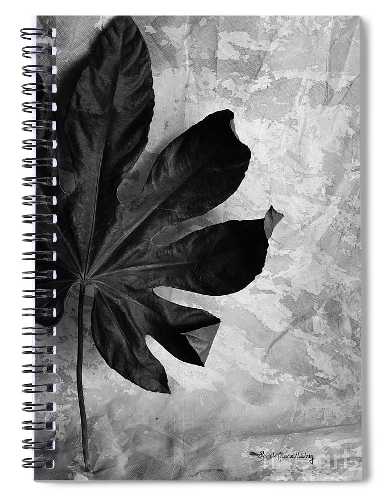 Leaf Spiral Notebook featuring the photograph Stand Alone by Randi Grace Nilsberg