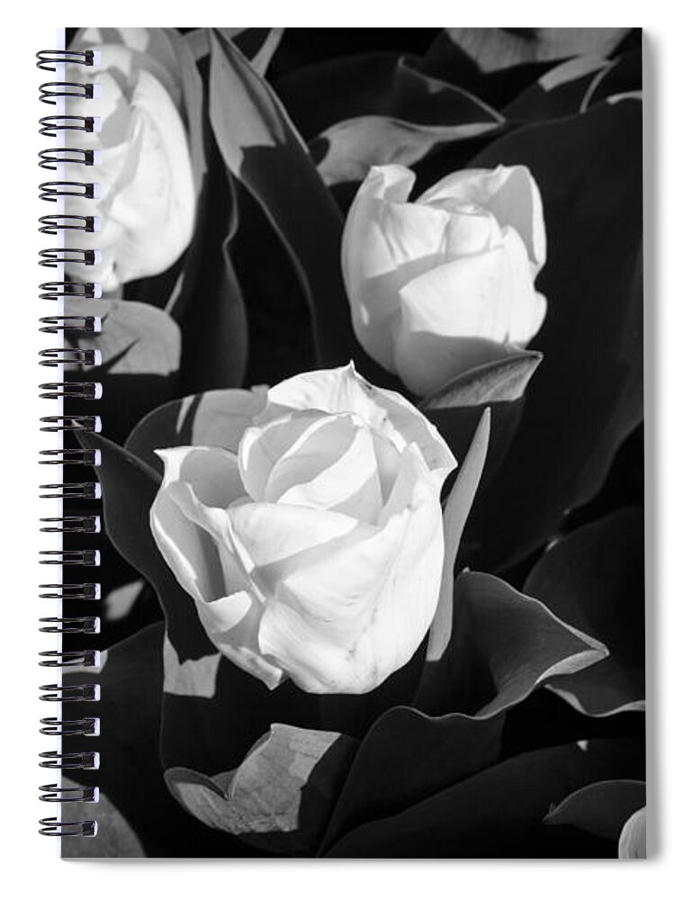 White Roses Spiral Notebook featuring the photograph White Flowers by Crystal Wightman