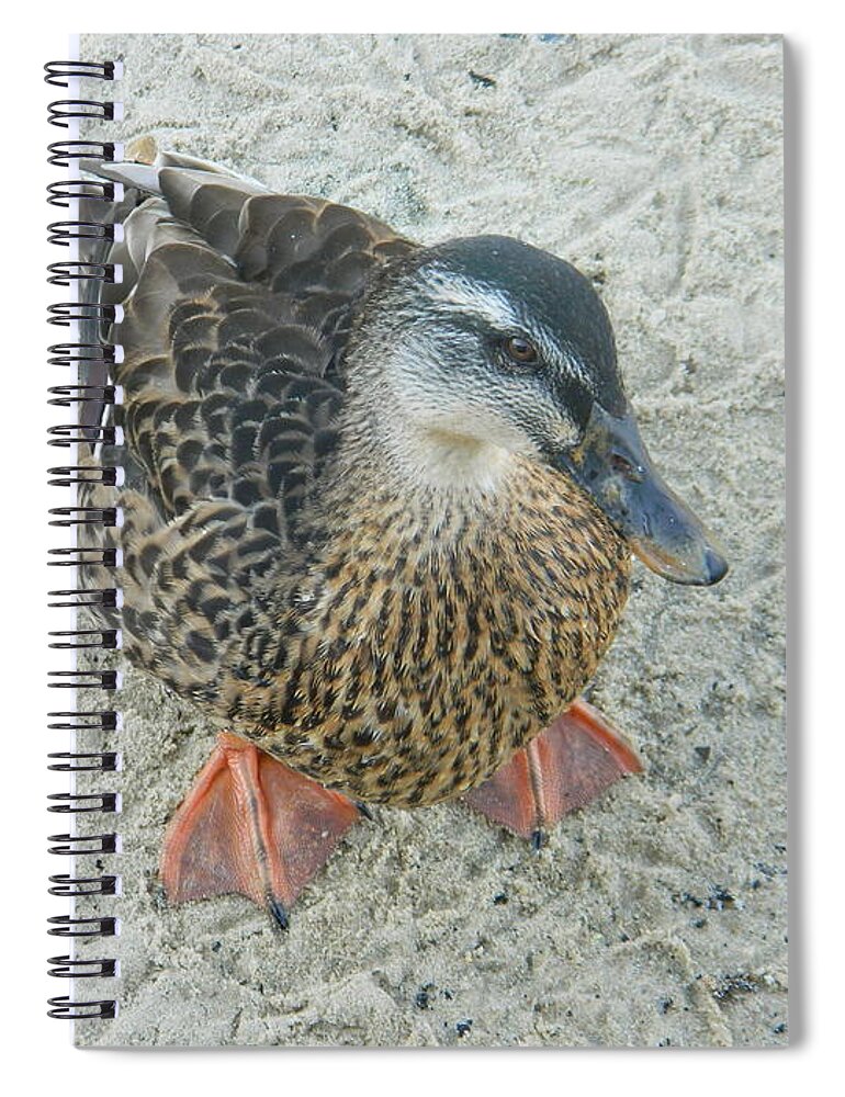 Standing At Attention Spiral Notebook featuring the photograph Standing At Attention by Emmy Vickers