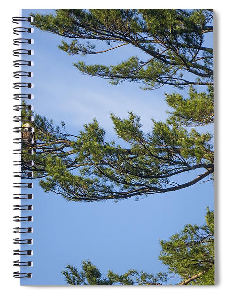 Lake Pennesseewassee Spiral Notebook featuring the photograph Standing Guard by Steven Ralser