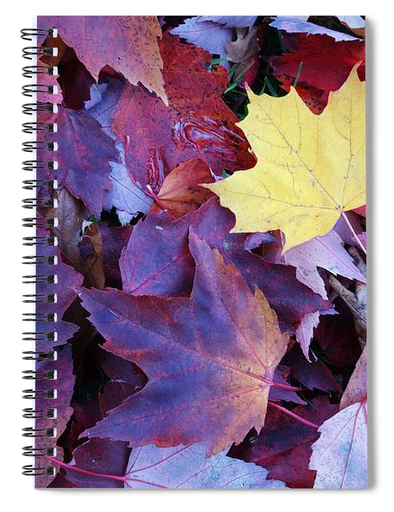 Autumn Spiral Notebook featuring the photograph Standing Out by Steve Ondrus
