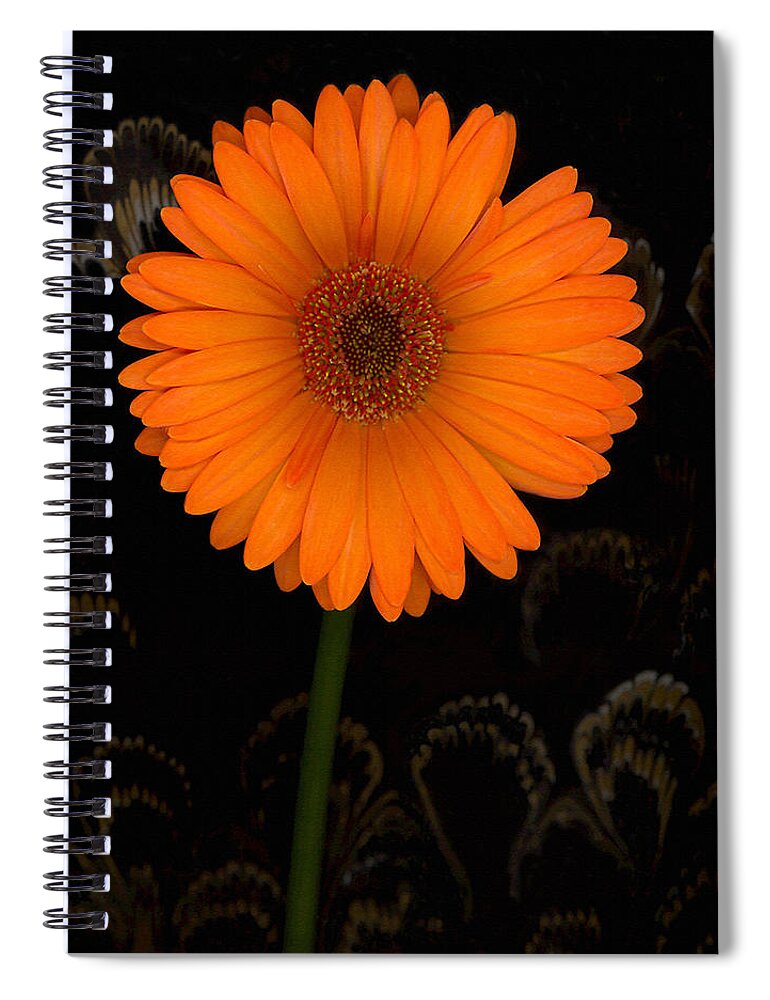 Gerbera Daisy Spiral Notebook featuring the photograph Standing Tall by Suzanne Gaff