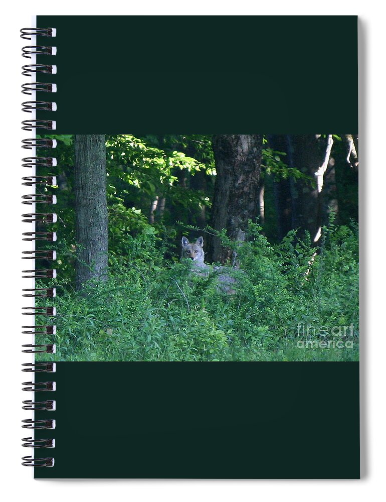 Coyote Spiral Notebook featuring the photograph Eastern Coyote by Neal Eslinger