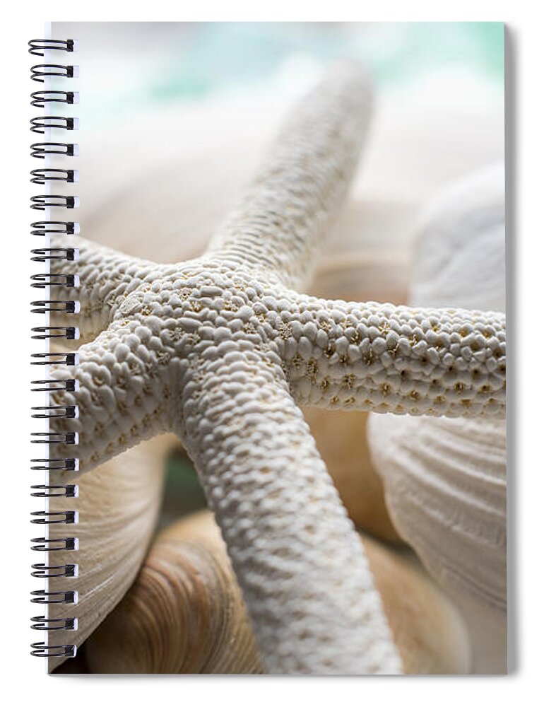Starfish And Seashells Spiral Notebook featuring the photograph Starfish and Seashells by Terry DeLuco