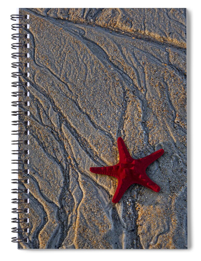 Sea Spiral Notebook featuring the photograph Starfish In The Sand by Susan Candelario