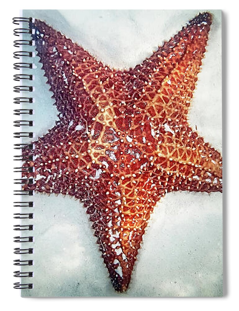 Underwater Spiral Notebook featuring the photograph Starfish Underwater by Denise Panyik-dale