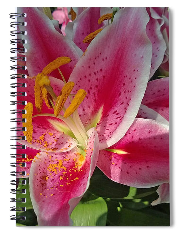 Yellow Spiral Notebook featuring the photograph Stargazer Lily by Claudia Goodell