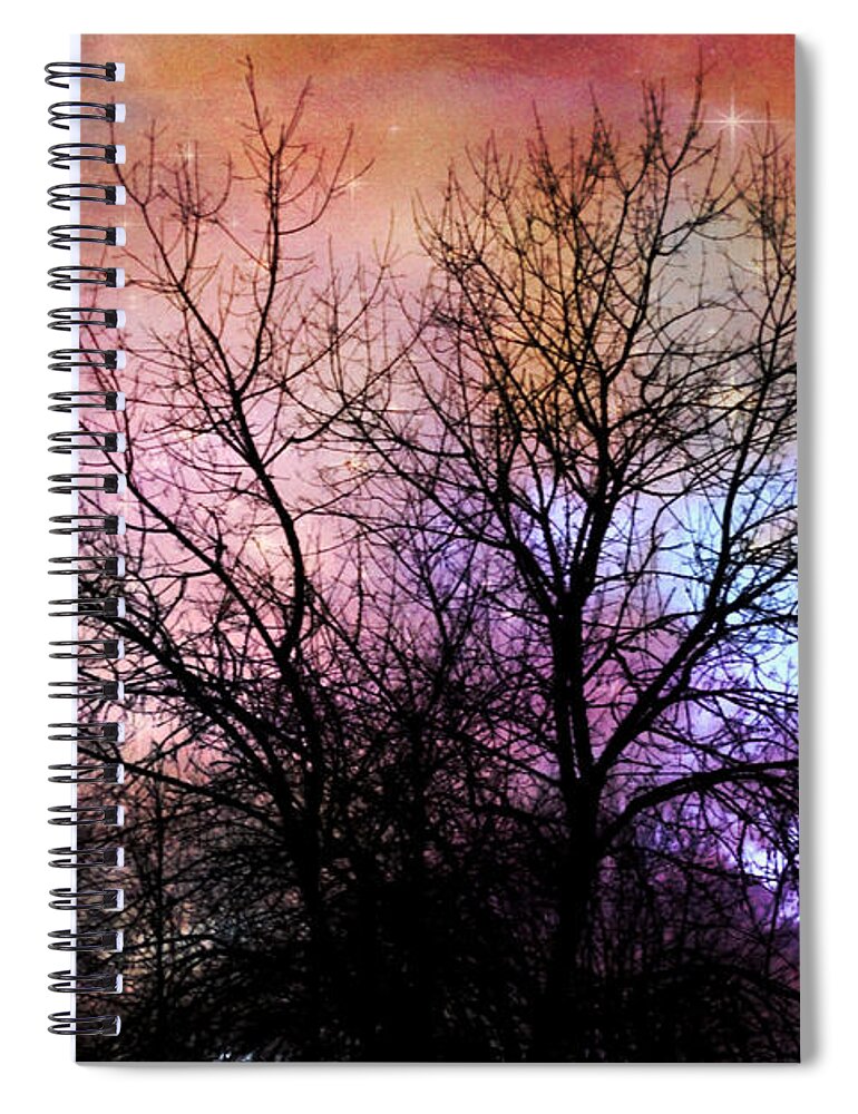 Bare Trees Spiral Notebook featuring the photograph Starry Night by Sylvia Cook