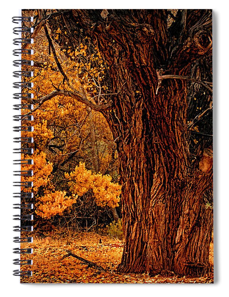 Oak Spiral Notebook featuring the photograph Stately Oak by Priscilla Burgers