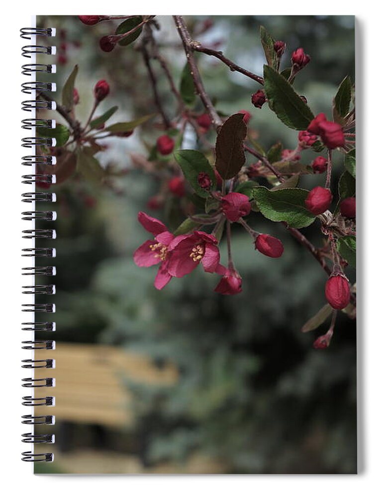 Spring Flowers Spiral Notebook featuring the photograph Stay a while by Jessica Myscofski