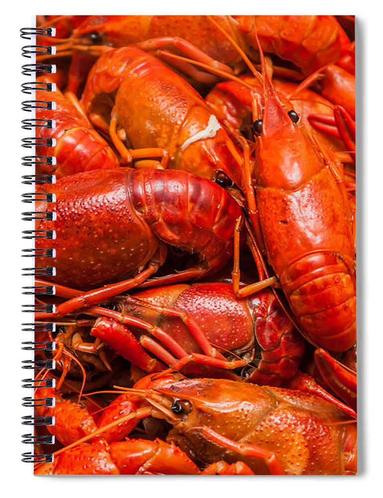 Animal Spiral Notebook featuring the photograph Steamed Crawfish by Alex Grichenko