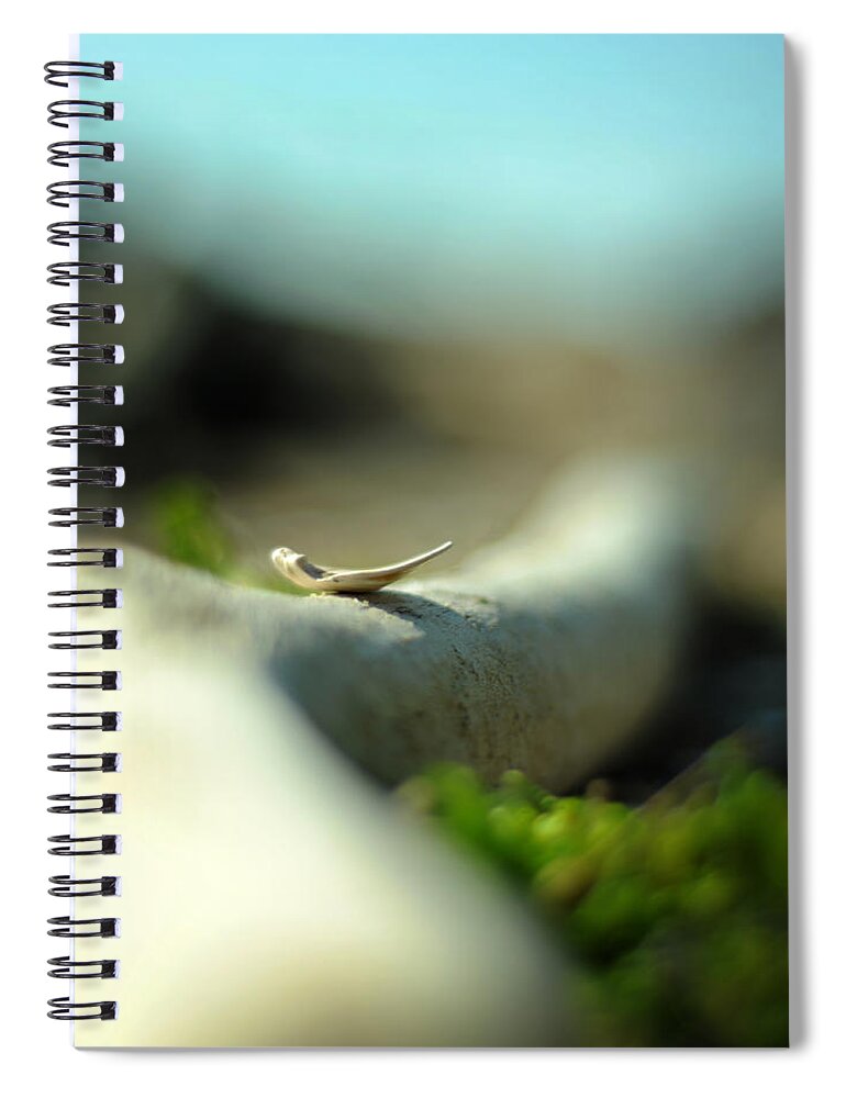 Mindfulness Spiral Notebook featuring the photograph Step Into Stillness by Rebecca Sherman