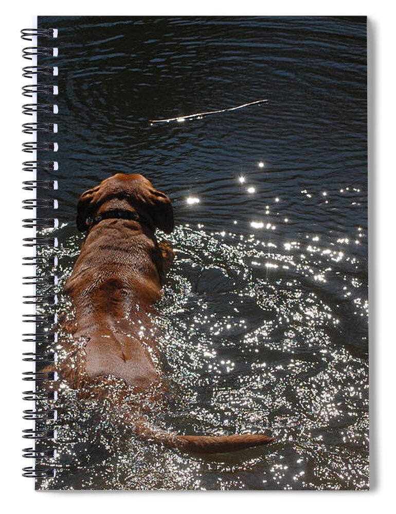 Dam Spiral Notebook featuring the photograph Stick by Mim White