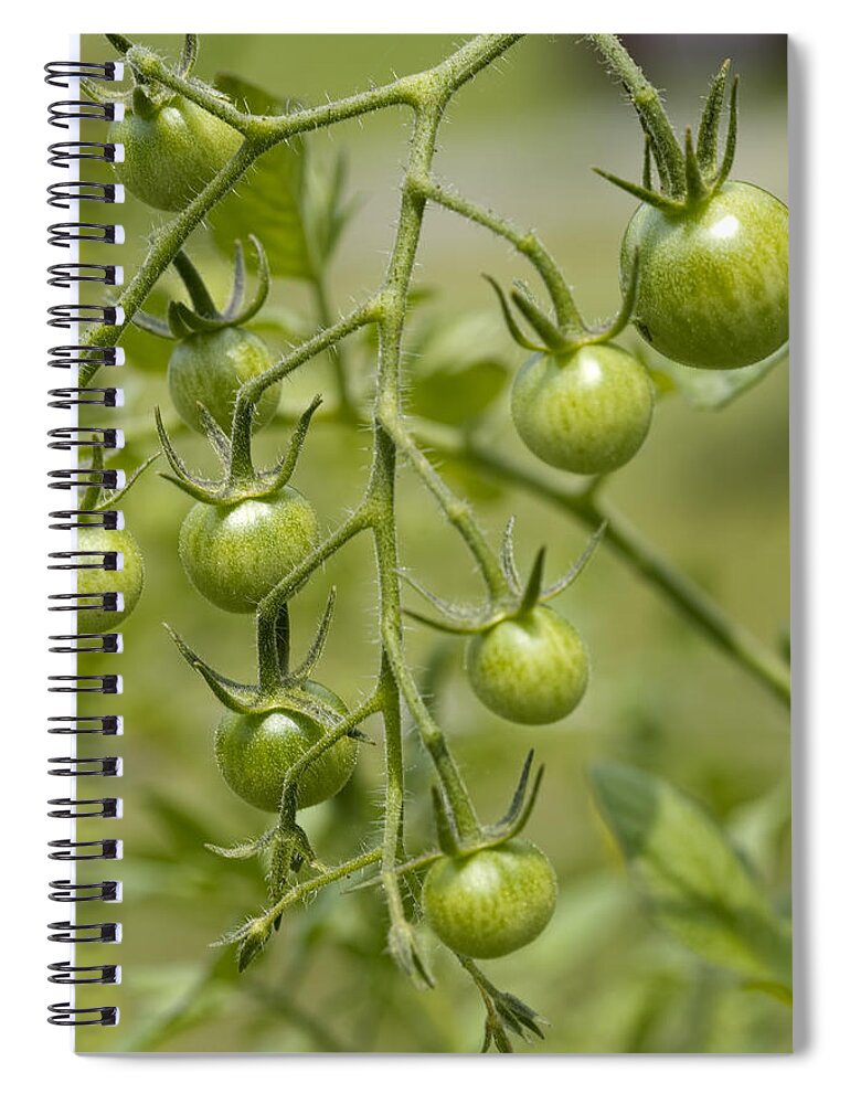 Green Spiral Notebook featuring the photograph Still Green by Kathy Clark