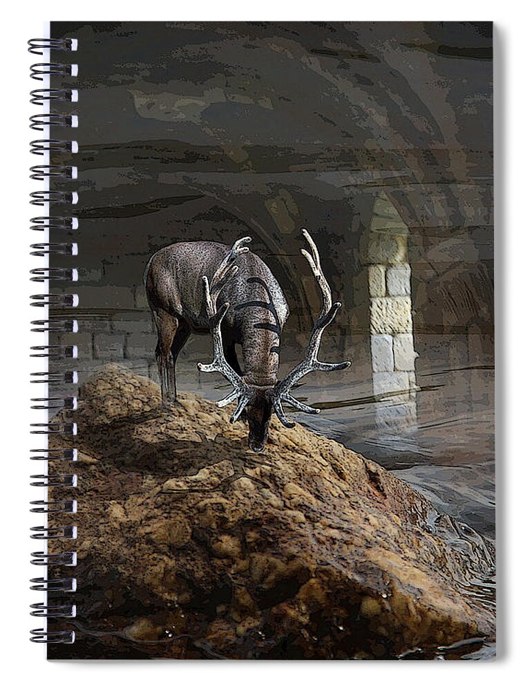Deer Spiral Notebook featuring the photograph Stillness by Yvonne Wright