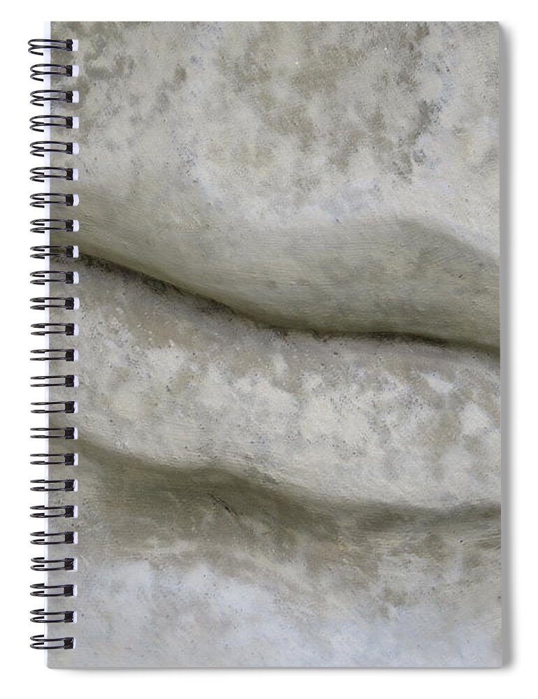 Lip Spiral Notebook featuring the photograph Stone Cold Lips by Ella Kaye Dickey