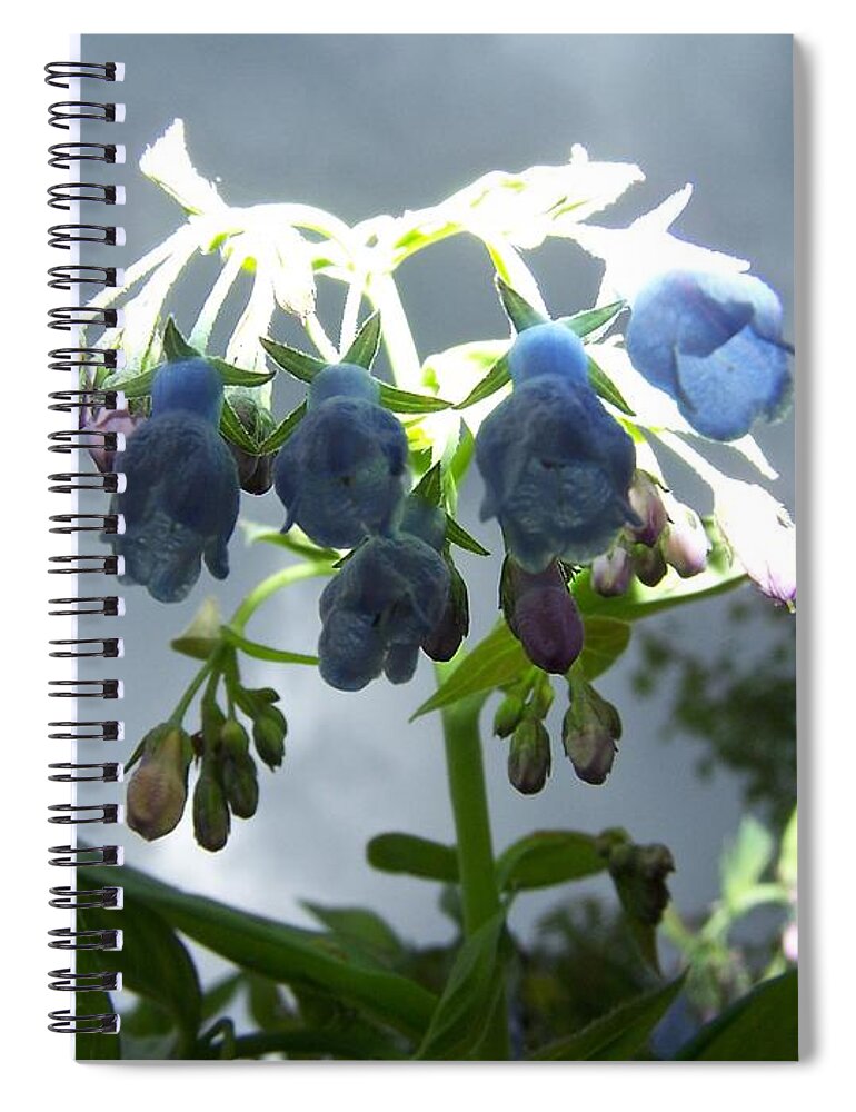 Blue Spiral Notebook featuring the photograph Stormy Bluebells by Jamie Johnson