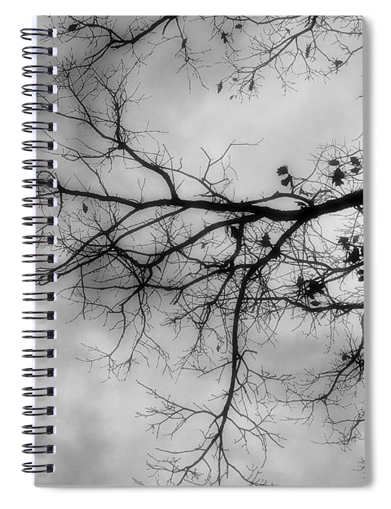 Storm Spiral Notebook featuring the photograph Stormy Morning In Black And White by Denise Beverly