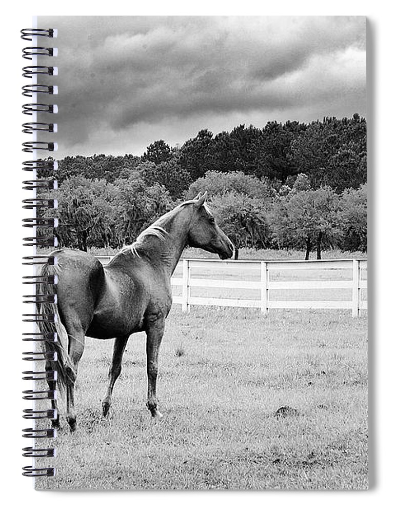 Hansen Spiral Notebook featuring the photograph Stormy Pasture by Scott Hansen